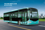 常隆客车YS6120QG