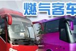 燃气客车:客车运营新探索