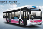 扬子江客车WG6120PHEVAA