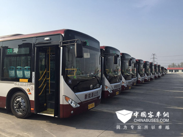 淄博新能源公交车达710辆 占比近5成