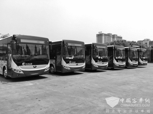 浙江：海宁将开首条纯电动公交线 “百万豪车”全程“零排放”