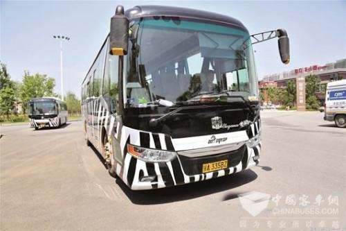 武汉花山新城开通电动公汽