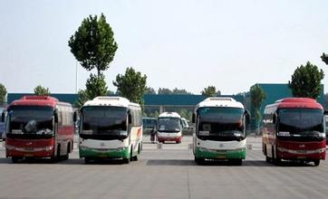 山东：淄博市开展旅游包车客运市场秩序整治专项活动