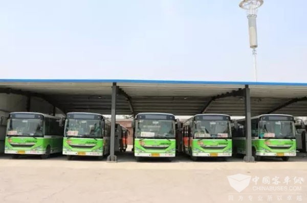 中通“绿盾”行动完美收官