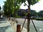 园区停车场 园区停车场