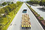 深圳公交宣传周活动:公交大巴完胜私家车 深圳公交宣传周活动:公交大巴完胜私家车