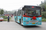 湖北：宜昌108辆新能源公交车集体“上岗”