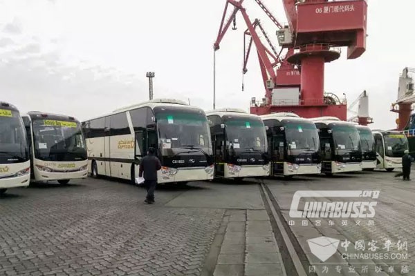 322辆金龙客车出口沙特