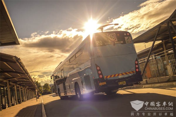 Interline公交服务公司选择配置艾里逊变速箱