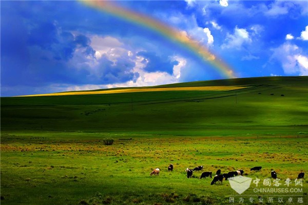 毕业季 | 海格客车带你纵情驰聘大草原