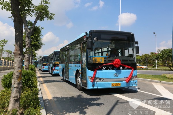 242辆金龙客车新能源公交交付厦门公交集团