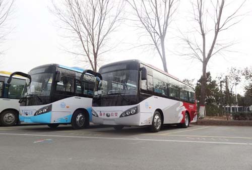 南京：扬子公交在江北首推定时巴士