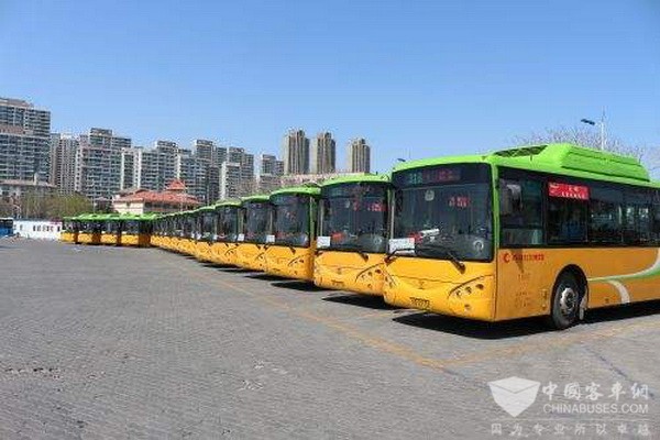 山东：青岛914辆老旧公交将更新成新能源公交