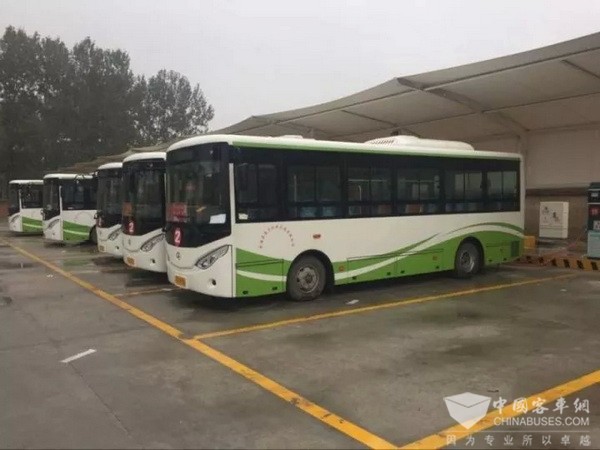 江苏连云港：东海公交全面告别传统燃油时代