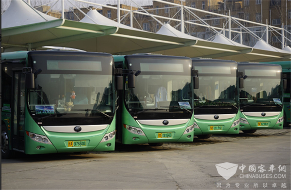 河南郑州：“绿色”新能源号牌首次亮相BRT公交车