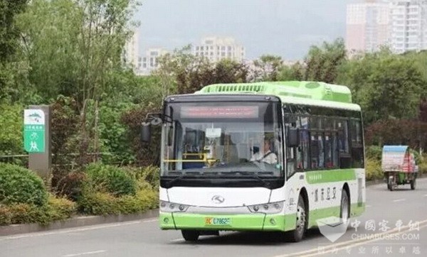 浙江乐清：“智慧公交”打造便利公共交通 绿色出行受宠