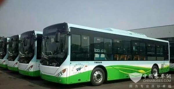 河北衡水：安平县新购置20辆纯电动公交