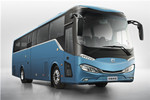 中车电动TEG6110EV08客车（纯电动24-48座）