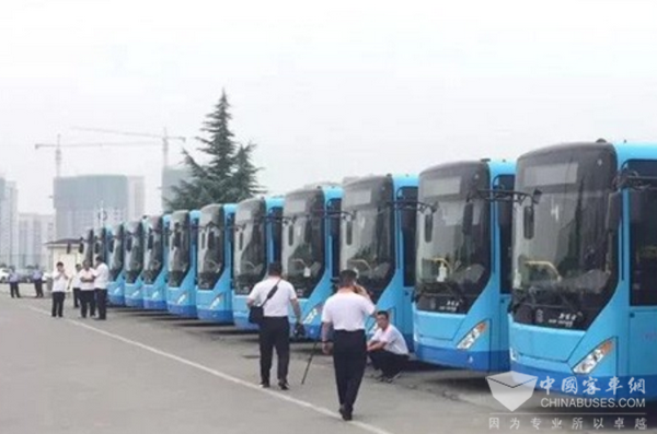 山西：晋城5条线路投放新能源公交