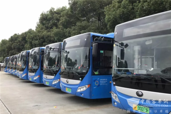 浙江嘉兴：桐乡市投放1000辆混合动力公交车