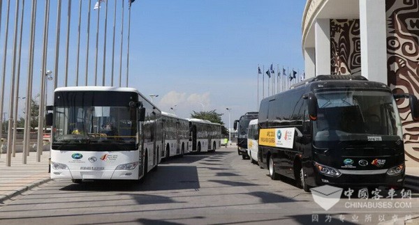 “国车”迎宾 使命担当 85台金龙客车担纲APEC通勤