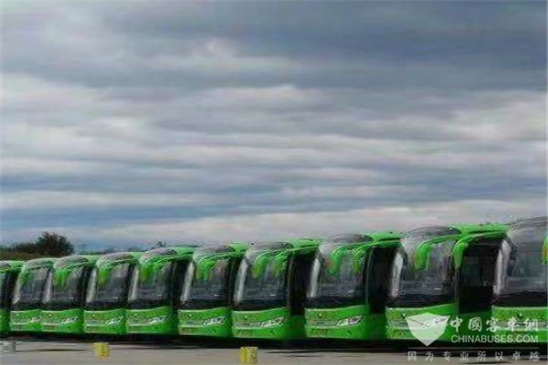 河南南阳：南召县至南阳市开通绿色城市公交 便民又快捷