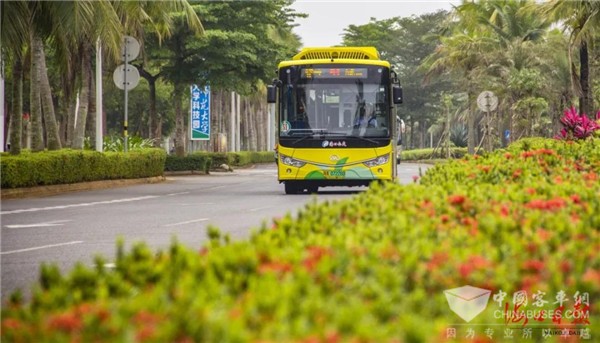 海口公交：城市更新│做好公交“加减法” 畅通绿色便民路