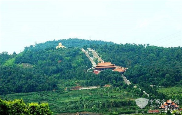 在云南弥勒的绿水青山里，遇见中车电动公交