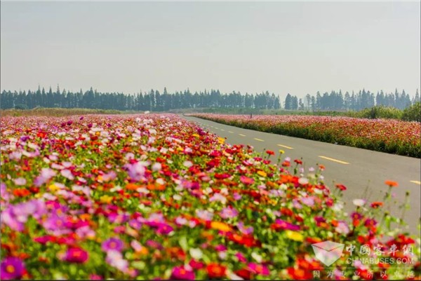 江苏：江苏农村兴起“公路+”发展新模式，农路变富民风景线