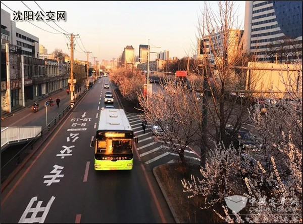 辽宁：公交专用道将“越堵越设”！明年：公交速度高于社会车辆平均车速