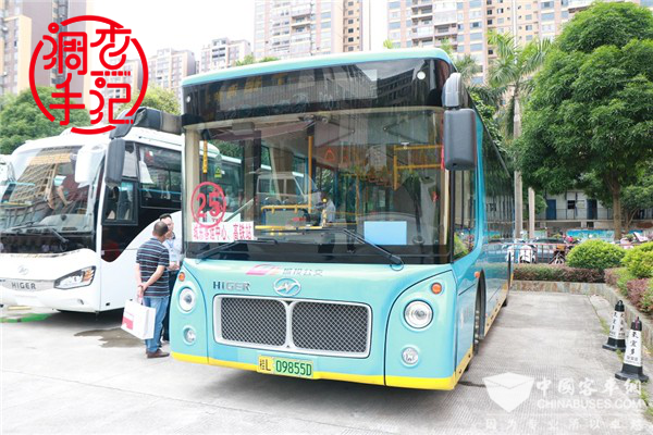 2019-2020年度XINGKONG.COM用户满意度调查手记——海格客车