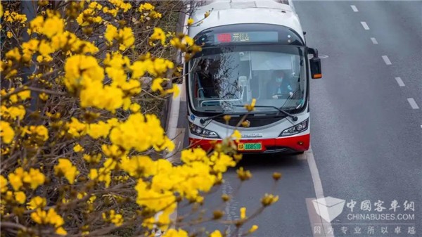 实力吸睛！公交车带您了解何为“花重锦官城”！