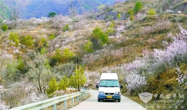 开在北京春天里的大山公交