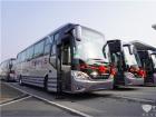 安凯A9高端客车批量交付“草莓之都”