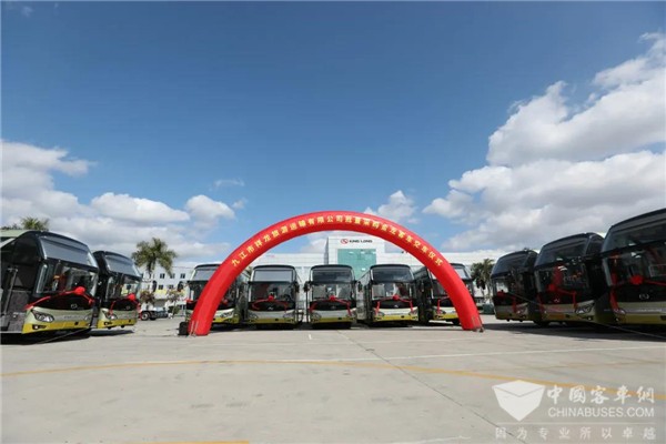 事业形象双重加持！金龙特大型公路车批量交付九江