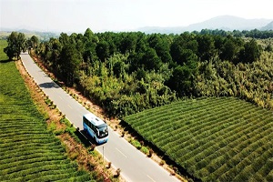 242亿！财政部下达补贴资金，支持农村客运、城市交通发展推广