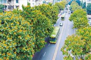 《乡村建设行动实施方案》印发 积极推进城市公交线路向周边重点村镇延伸