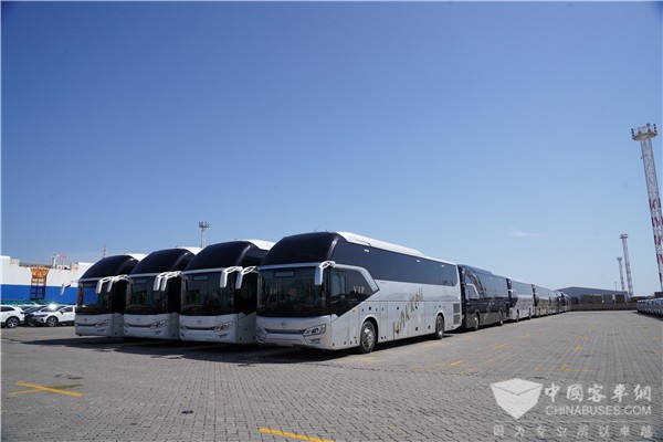 50台金旅新凯歌远航沙特 拔得朝觐市场新头筹