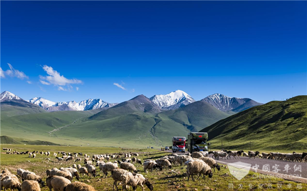 赏旖旎风光怎少得了“万能座驾”？依维柯欧胜上岗新疆旅游客运专线