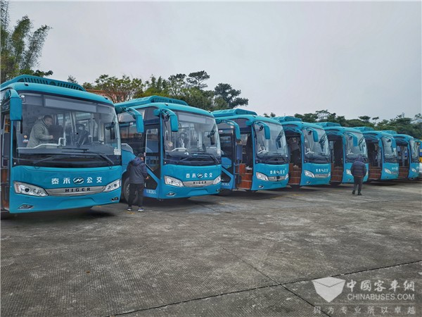 熬过“寒冬”亟需合力! 钦州泰禾与苏州金龙共寻转型之路