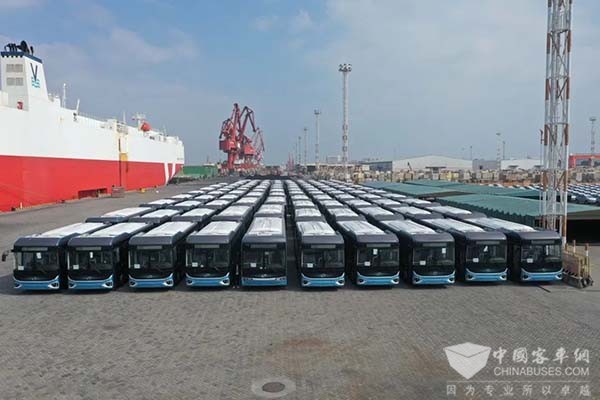 金龙客车 出口 大中轻型客车