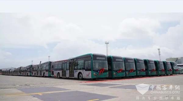 金龙客车 出口 大中轻型客车