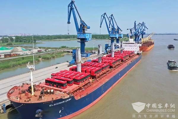 金龙客车 出口 大中轻型客车