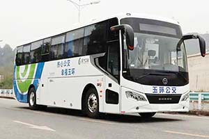 提供舒适公共交通服务 30辆奇瑞万达纯电客车交付浙江玉环