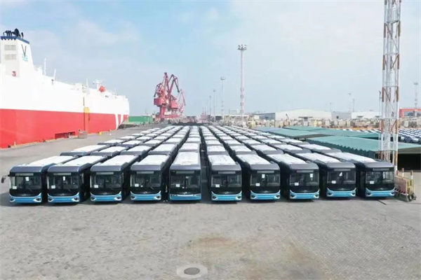 共建“一带一路”成就显著：十年征程再出发！