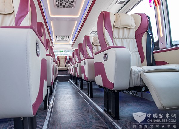 苏州金龙 海格客车 海格睿星 海格途悦 西北线巡展