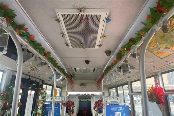 行走的春日——泉州公交花满车厢，司机打造“花车”