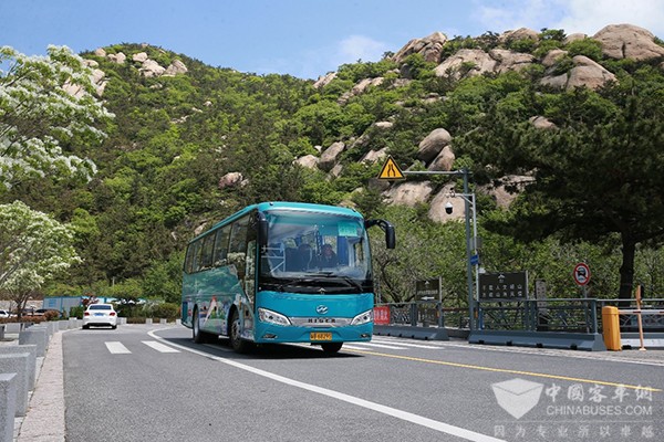 苏州金龙 海格客车青岛崂山 中国旅行社总社
