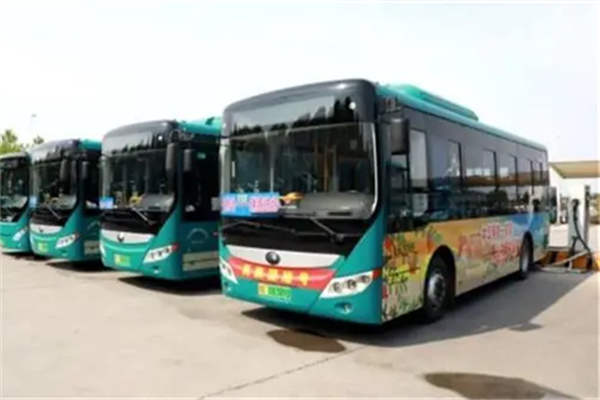 广饶全面提升城乡公交服务水平，52万市民乐享免费公交车 