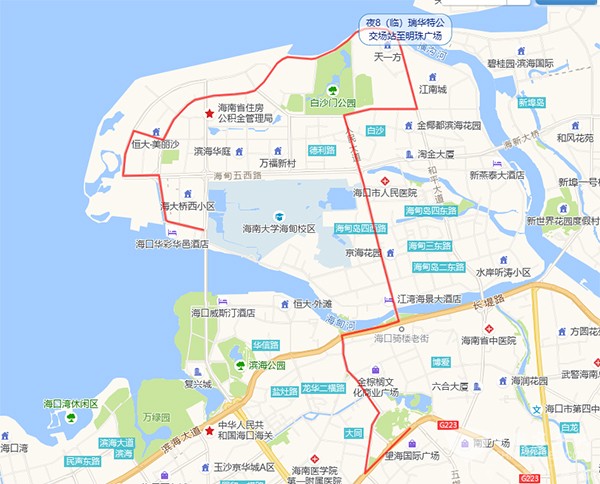 海口公交集团 夜间出行需求 特色公交 大站快线